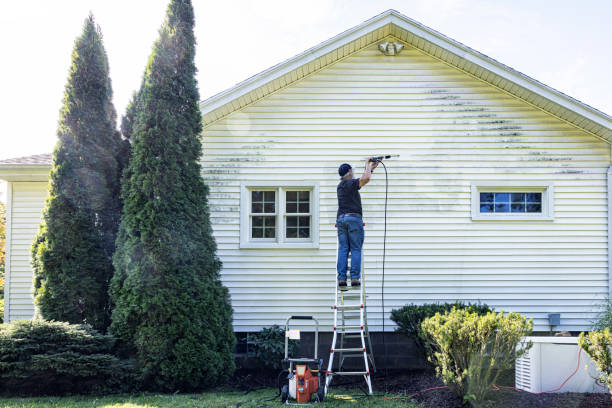 Best Graffiti Removal  in Hamburg, PA